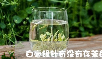 白毫银针有没有存茶的必要/2023040962026