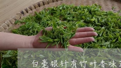 白毫银针有竹叶香味正常吗/2023040995169