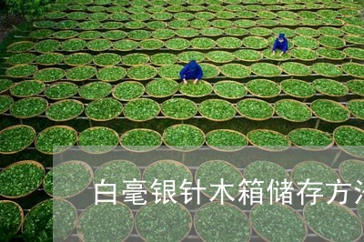 白毫银针木箱储存方法视频/2023040925572