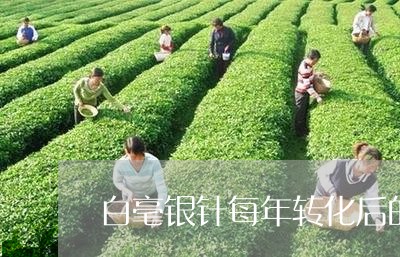 白毫银针每年转化后的香气/2023040938582