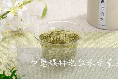 白毫银针泡出来是茉莉花味/2023041316372