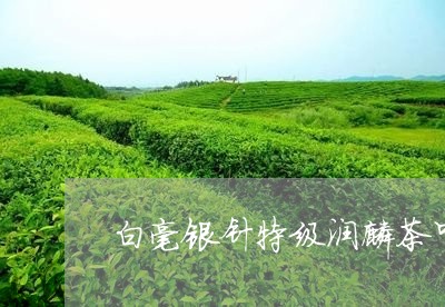 白毫银针特级润麟茶叶礼盒/2023040943745