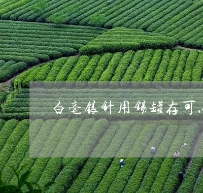 白毫银针用锡罐存可以吗/2023040920361