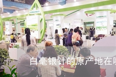 白毫银针的原产地在哪个省/2023041084949