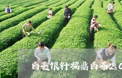 白毫银针福鼎白茶2018/2023033063625