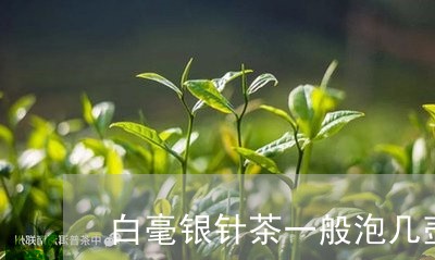 白毫银针茶一般泡几壶最好/2023041069594