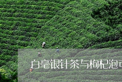 白毫银针茶与枸杞泡可以吗/2023041306151