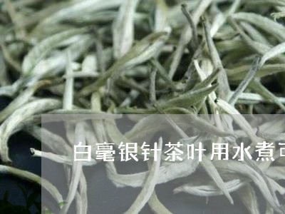 白毫银针茶叶用水煮可以吗/2023041393959