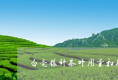 白毫银针茶叶用量和茶水比/2023041095258