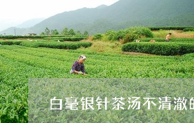 白毫银针茶汤不清澈的原因/2023041069403