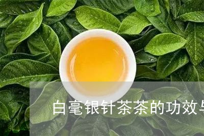 白毫银针茶茶的功效与作用/2023041046060