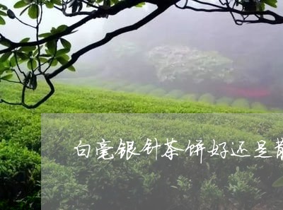 白毫银针茶饼好还是散的好/2023041081613