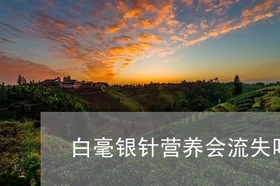 白毫银针营养会流失吗百度/2023041074938