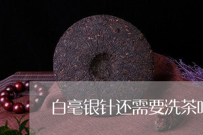 白毫银针还需要洗茶吗/2023041349471