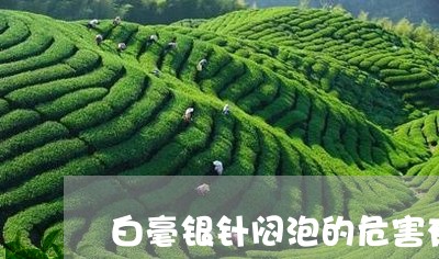 白毫银针闷泡的危害有哪些/2023041055038