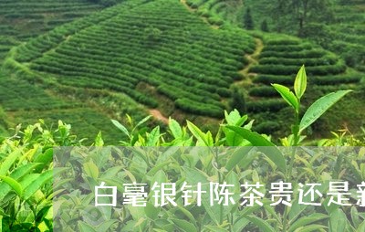 白毫银针陈茶贵还是新茶贵/2023041060681