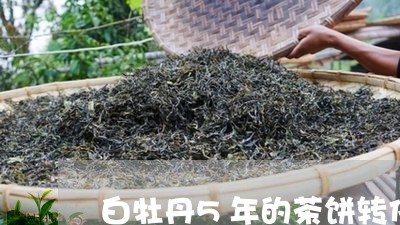 白牡丹5年的茶饼转化颜色/2023033111636