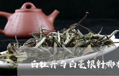 白牡丹与白毫银针哪种茶贵/2023041062705