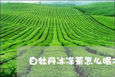 白牡丹冰冻茶怎么喝才好喝/2023041337360