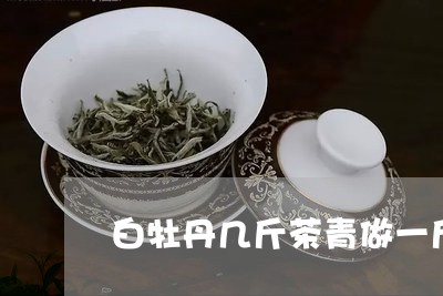 白牡丹几斤茶青做一斤干茶/2023041000372