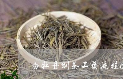 白牡丹制茶工艺流程图高清/2023041015150