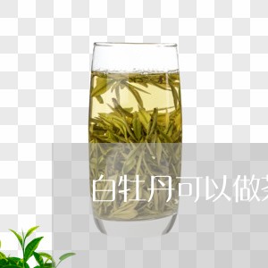 白牡丹可以做茶饼吗的功效/2023041083715