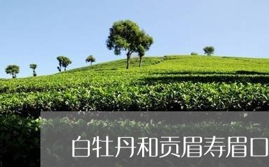 白牡丹和贡眉寿眉口感区别/2023041027471