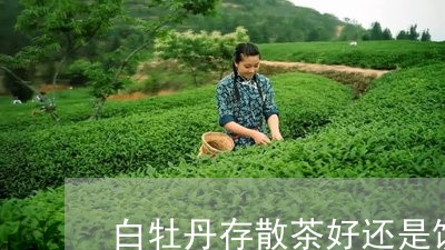 白牡丹存散茶好还是饼茶好/2023041024824