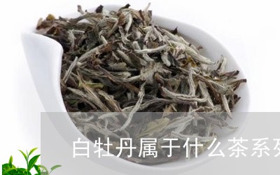 白牡丹属于什么茶系列的茶/2023041356260