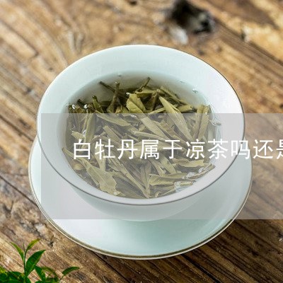 白牡丹属于凉茶吗还是温茶/2023041395725