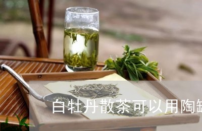 白牡丹散茶可以用陶罐储存/2023041026250