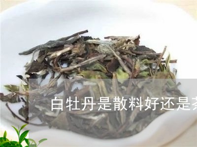 白牡丹是散料好还是茶饼好/2023041002027