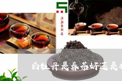 白牡丹是春茶好还是秋茶好/2023041007364