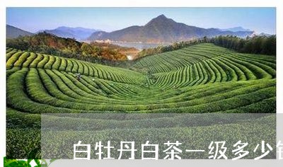 白牡丹白茶一级多少钱一斤/2023041330692