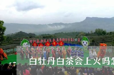 白牡丹白茶会上火吗怎么喝/2023041096959