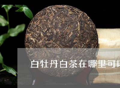 白牡丹白茶在哪里可以买到/2023041014269