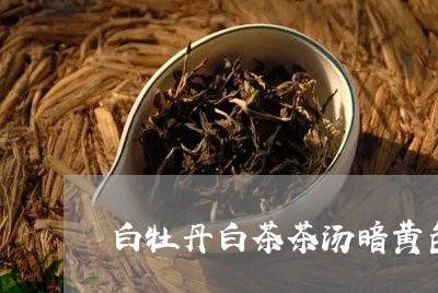 白牡丹白茶茶汤暗黄色好吗/2023041373036