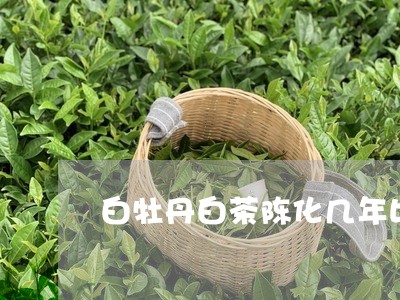 白牡丹白茶陈化几年比较好/2023041341595