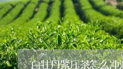 白牡丹紧压茶怎么冲泡方法/2023041344736