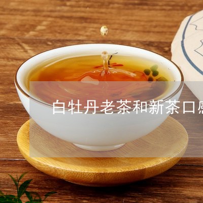 白牡丹老茶和新茶口感区别/2023041377160