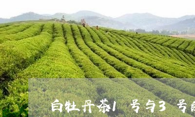 白牡丹茶1号与3号的区别/2023033075148