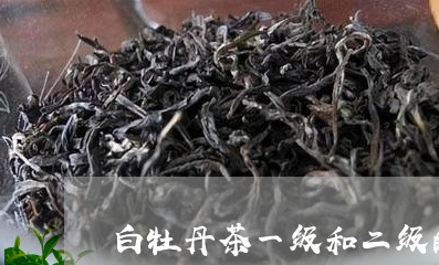 白牡丹茶一级和二级的区别/2023041045949