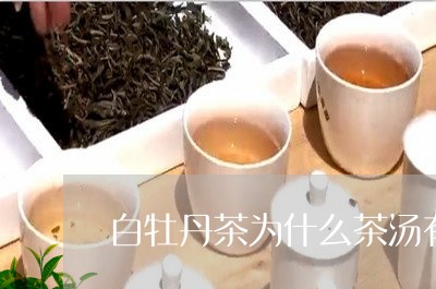 白牡丹茶为什么茶汤有点稠/2023041304061