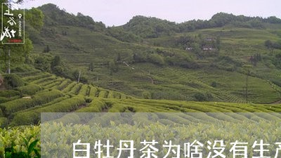 白牡丹茶为啥没有生产日期/2023041311825