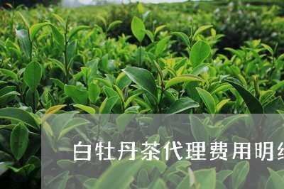 白牡丹茶代理费用明细清单/2023041326178