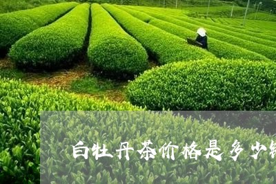 白牡丹茶价格是多少钱一斤/2023041060514