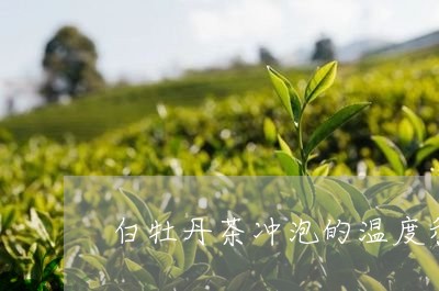 白牡丹茶冲泡的温度和方法/2023041026481