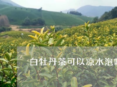 白牡丹茶可以凉水泡吗百度/2023041344140