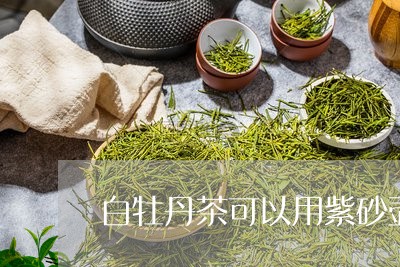 白牡丹茶可以用紫砂壶泡吗/2023041004359