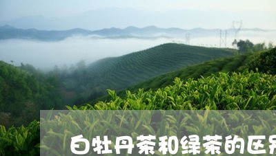 白牡丹茶和绿茶的区别在哪/2023041037452